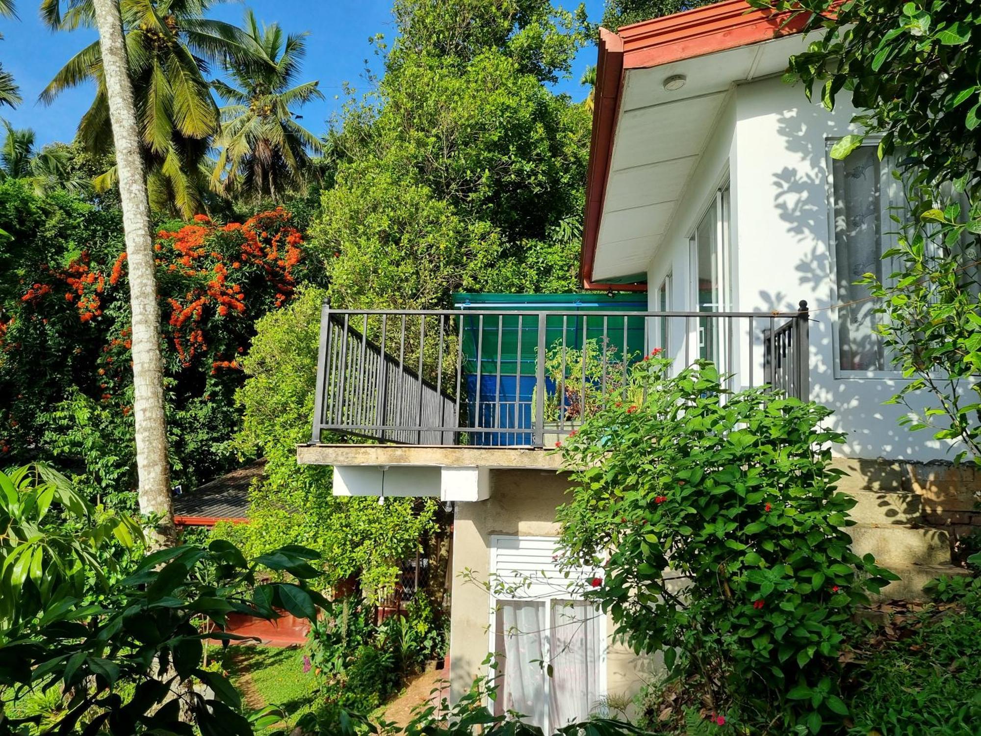 Squirrel'S Nest Otel Kandy Dış mekan fotoğraf